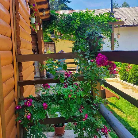 Little Paradise Lejlighed Visoko