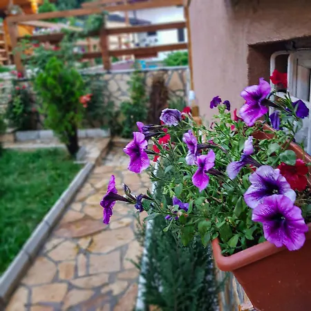 Little Paradise