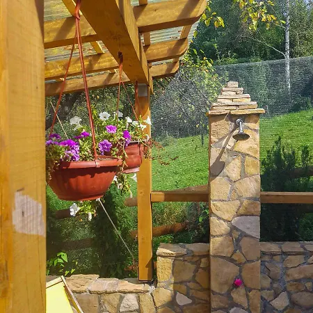 Little Paradise * 비소코